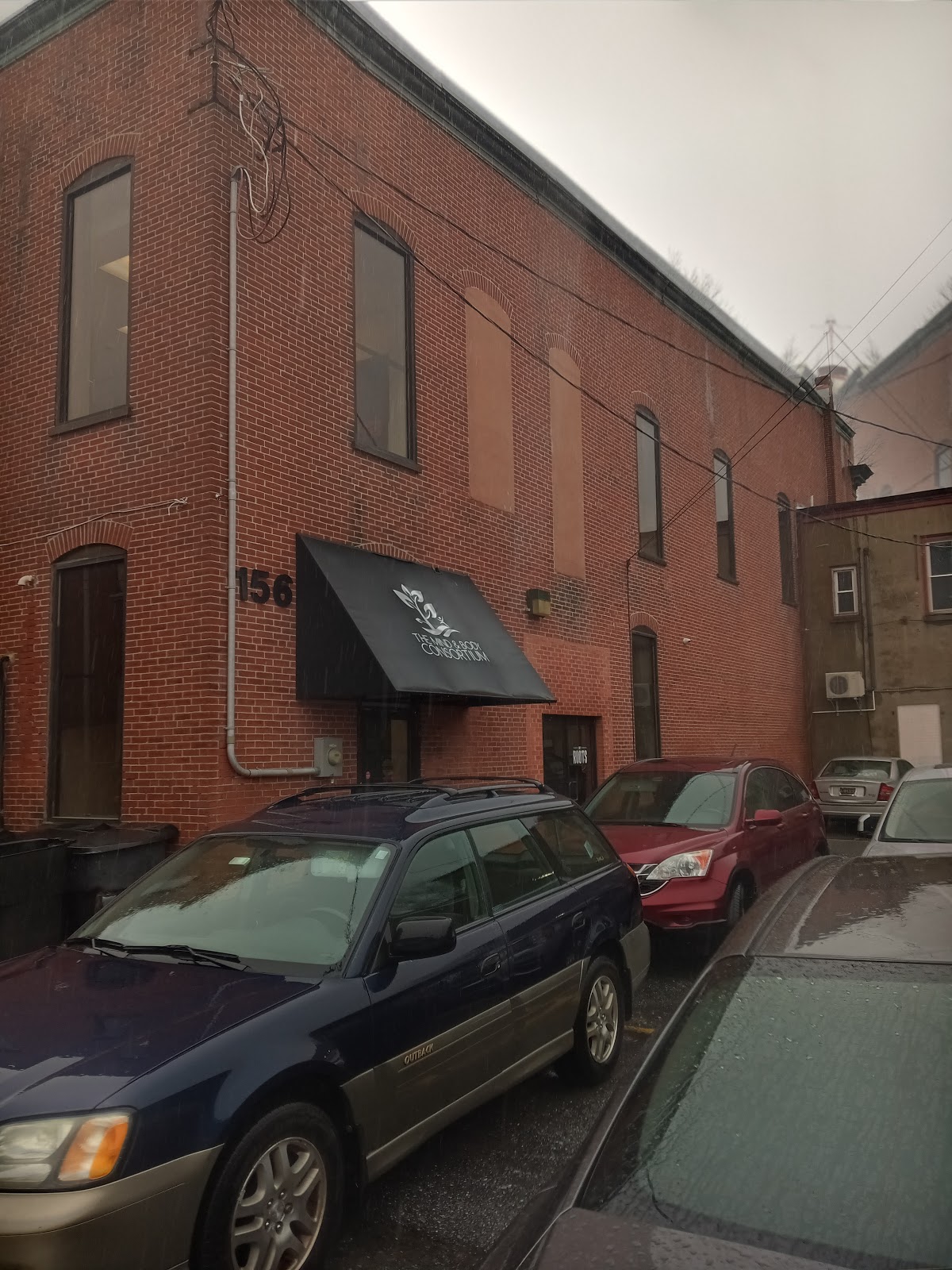 Mind and Body Consortium