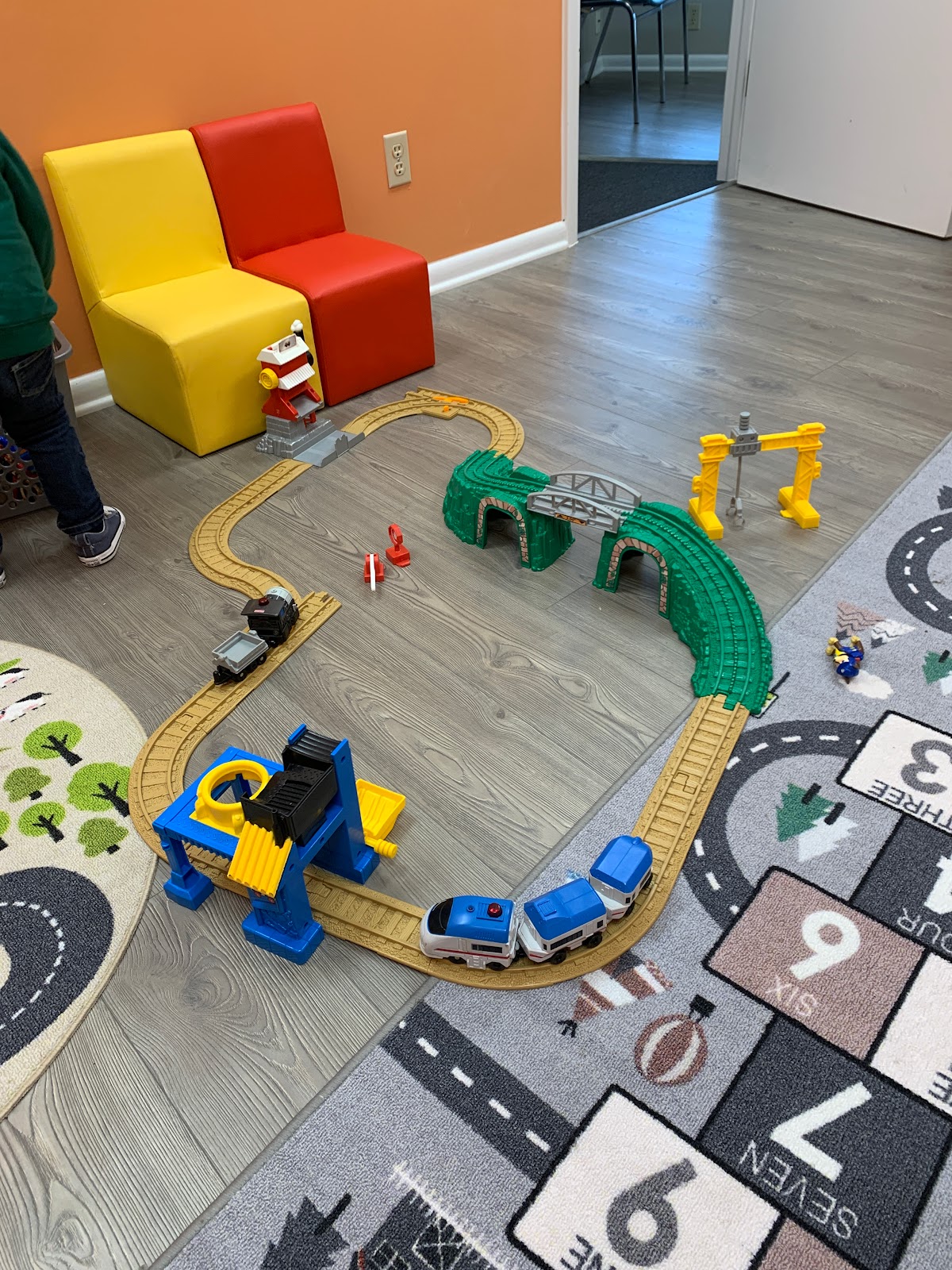 Mind and Body Consortium